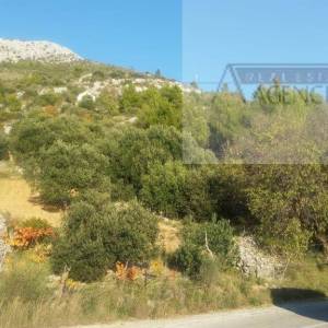 Hvar poljoprivredno zemljište 80000m2 Sv. Nedjelja
