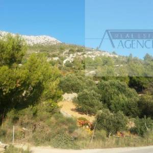 Hvar poljoprivredno zemljište 80000m2 Sv. Nedjelja