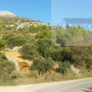 Hvar poljoprivredno zemljište 80000m2 Sv. Nedjelja