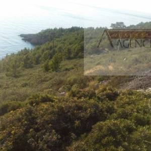 Hvar poljoprivredno zemljište 25000m2 Sv. Nedjelja Bojanić Bad