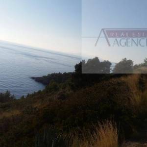 Hvar poljoprivredno zemljište 25000m2 Sv. Nedjelja Bojanić Bad