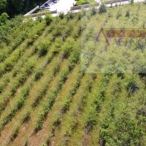 Imotski građevinsko zemljište 7000 m2 - akcija