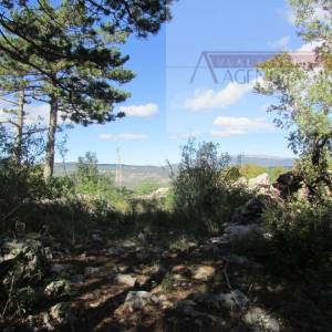 Imotski Grubine 4553 m2 građevinsko zemljište