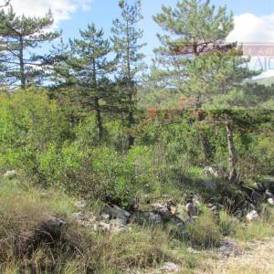 Imotski Grubine 4553 m2 građevinsko zemljište