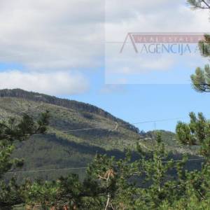 Imotski Grubine 4553 m2 građevinsko zemljište