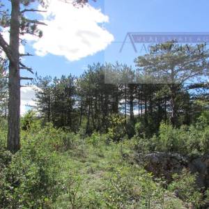 Imotski Grubine 4553 m2 građevinsko zemljište