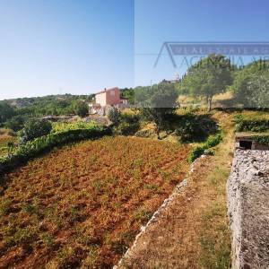 Imotski Lokvičići kamene kuće na parceli od 2035 m2 - ekskluziva