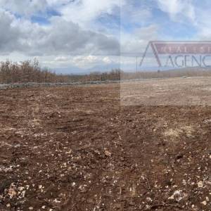 Imotski Lovreć 5499 m2 građevinsko zemljište - uređeno