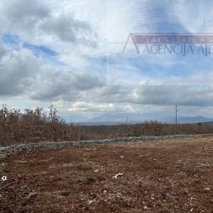 Imotski Lovreć 5499 m2 građevinsko zemljište - uređeno