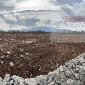 Imotski Lovreć 5499 m2 građevinsko zemljište - uređeno