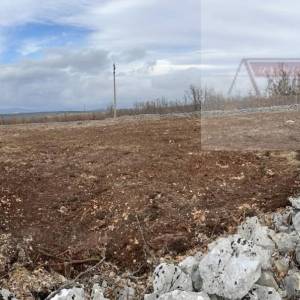 Imotski Lovreć 5499 m2 građevinsko zemljište - uređeno