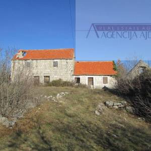 Imotski Lovreć četiri kamene kuće i velika okućnica 13000 m2