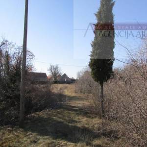 Imotski Lovreć četiri kamene kuće i velika okućnica 13000 m2