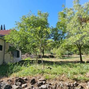 Imotski obiteljska kamena kuća 250 m2 + okućnica 1209 m2 Drum