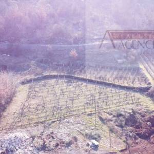 Imotski - Poljica dugoročni najam građevinskog zemljišta 20000 m2