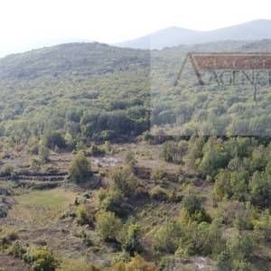 Imotski Poljica građevinsko zemljište 1000 m2 - novo!