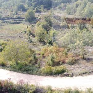 Imotski Poljica građevinsko zemljište 2100 m2 - novo!
