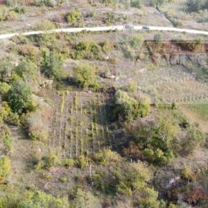 Imotski Poljica građevinsko zemljište 2100 m2 - novo!