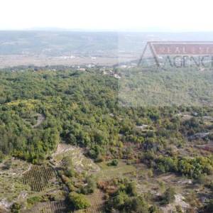 Imotski Poljica građevinsko zemljište 4225 m2 - novo!