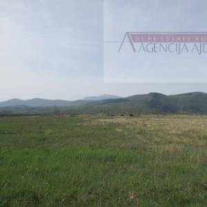 Imotski Postranje 18000 m2 poljoprivredno!