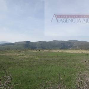 Imotski Postranje 18000 m2 poljoprivredno!