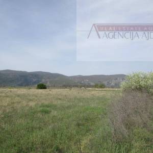 Imotski Postranje 18000 m2 poljoprivredno!