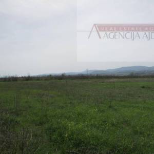 Imotski Postranje 18000 m2 poljoprivredno!