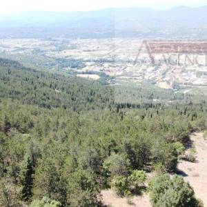 Imotski Proložac kuća  u izgradnji + velika okućnica 2000 m2 