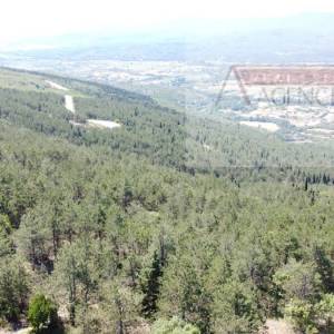 Imotski Proložac kuća  u izgradnji + velika okućnica 2000 m2 