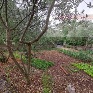 Imotski Runović kamena kuća 250 m2 sa uređenom okućnicom