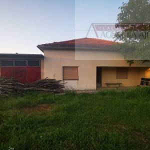 Imotski Runović samostojeća kuća 250 m2 + okućnica 1600 m2