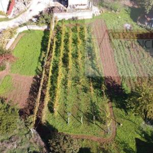 Imotski samostojeća kuća 3 etaže 372 m2 + velika okućnica