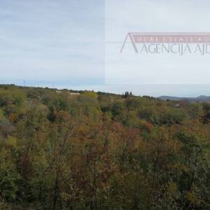 Imotski Vinjani građ zem 2850 m2 blizina grada