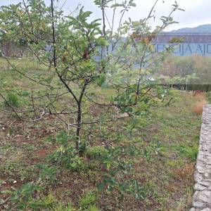 Imotski - Zagvozd vrhunsko građevinsko zemljište