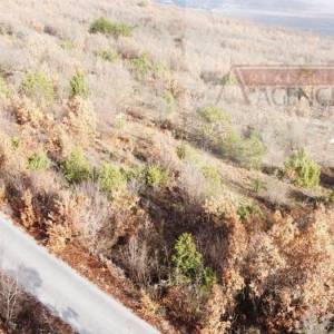 Imotski Zmijavci građevinsko zemljište 957 m2 - mirna lokacija