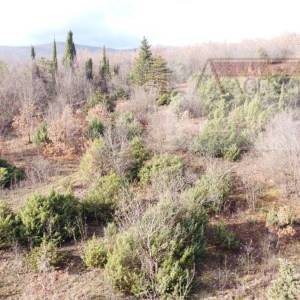 Imotski Zmijavci građevinsko zemljište 957 m2 - mirna lokacija