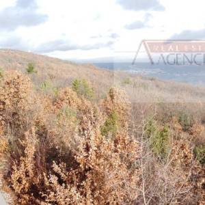 Imotski Zmijavci građevinsko zemljište 957 m2 - mirna lokacija