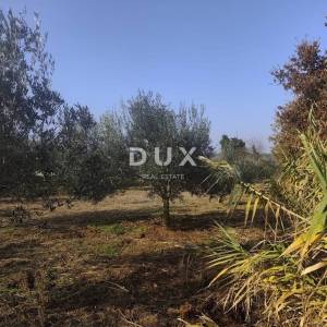 ISTRA, BANJOLE Vikendica s prostranim maslinikom