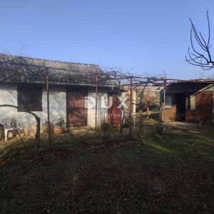 ISTRA, BANJOLE Vikendica s prostranim maslinikom