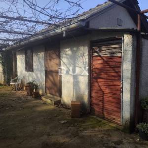 ISTRA, BANJOLE Vikendica s prostranim maslinikom