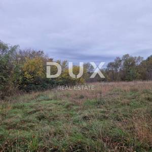 ISTRA, BARBAN - Kompleks zemljišta u mirnom naselju