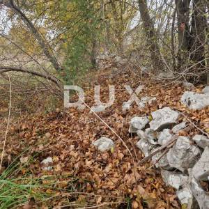 ISTRA, BARBAN - Kompleks zemljišta u mirnom naselju