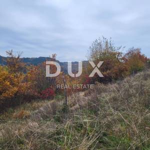 ISTRA, BUZET - Poljoprivredno zemljište