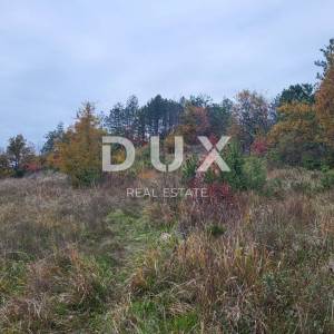 ISTRA, BUZET - Poljoprivredno zemljište