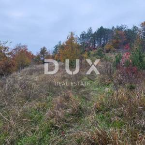 ISTRA, BUZET - Poljoprivredno zemljište