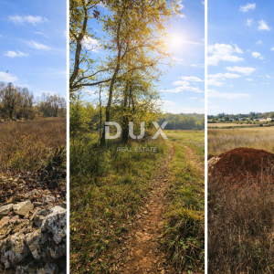 ISTRA, GAMBETIĆI - Poljoprivredno zemljište mirne i sunčane lokacije