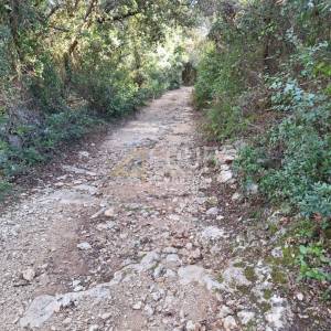 Istra, Kavran, poljoprivredno zemljište