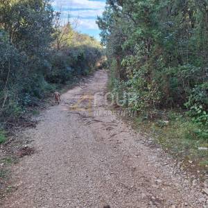 Istra, Kavran, poljoprivredno zemljište