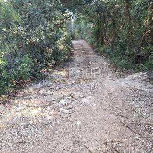 Istra, Kavran, poljoprivredno zemljište