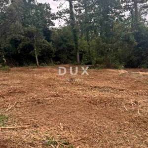 ISTRA, LABIN - Prostrano zemljište na rubu građevinskog područja